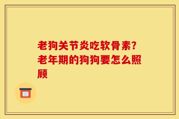 老狗关节炎吃软骨素？老年期的狗狗要怎么照顾