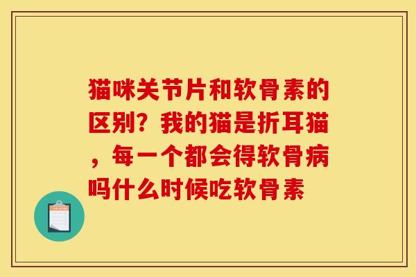 猫咪关节片和软骨素的区别？我的猫是折耳猫，每一个都会得软骨病吗什么时候吃软骨素