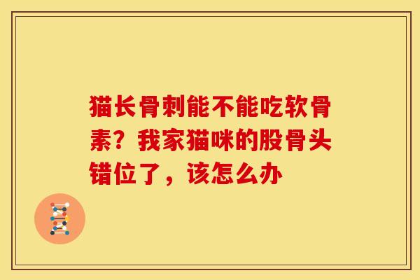 猫长骨刺能不能吃软骨素？我家猫咪的股骨头错位了，该怎么办