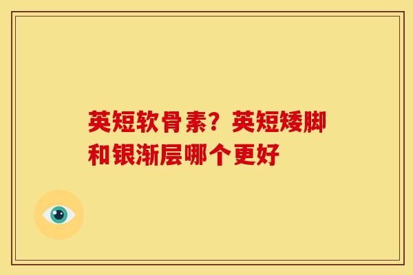 英短软骨素？英短矮脚和银渐层哪个更好