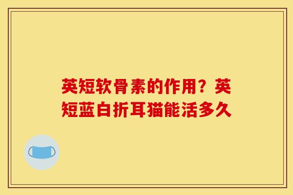 英短软骨素的作用？英短蓝白折耳猫能活多久