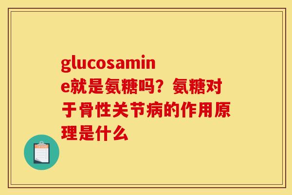 glucosamine就是氨糖吗？氨糖对于骨性关节病的作用原理是什么