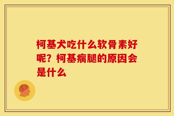 柯基犬吃什么软骨素好呢？柯基瘸腿的原因会是什么