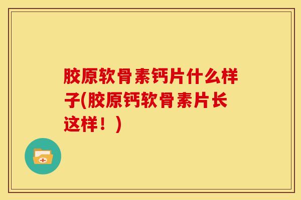 胶原软骨素钙片什么样子(胶原钙软骨素片长这样！)