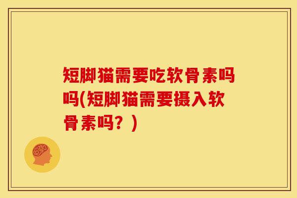 短脚猫需要吃软骨素吗吗(短脚猫需要摄入软骨素吗？)
