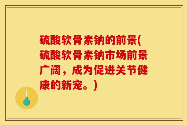 硫酸软骨素钠的前景(硫酸软骨素钠市场前景广阔，成为促进关节健康的新宠。)