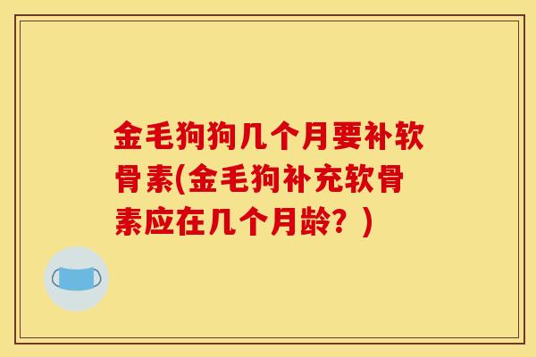 金毛狗狗几个月要补软骨素(金毛狗补充软骨素应在几个月龄？)