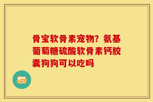 骨宝软骨素宠物？氨基葡萄糖硫酸软骨素钙胶囊狗狗可以吃吗