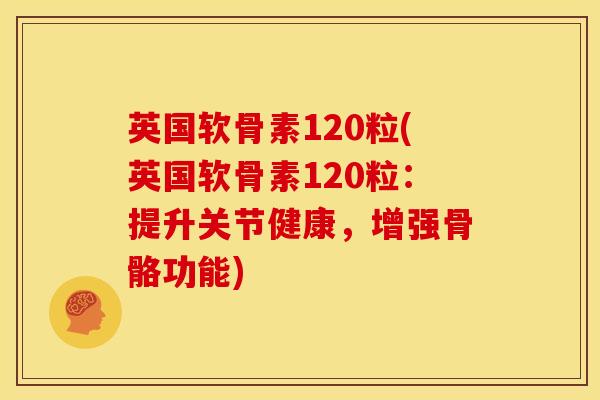 英国软骨素120粒(英国软骨素120粒：提升关节健康，增强骨骼功能)