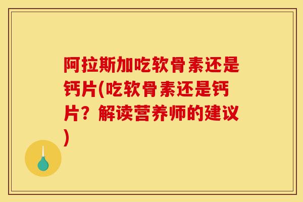 阿拉斯加吃软骨素还是钙片(吃软骨素还是钙片？解读营养师的建议)