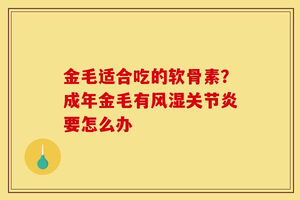 金毛适合吃的软骨素？成年金毛有风湿关节炎要怎么办