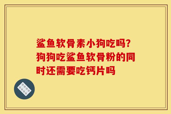 鲨鱼软骨素小狗吃吗？狗狗吃鲨鱼软骨粉的同时还需要吃钙片吗