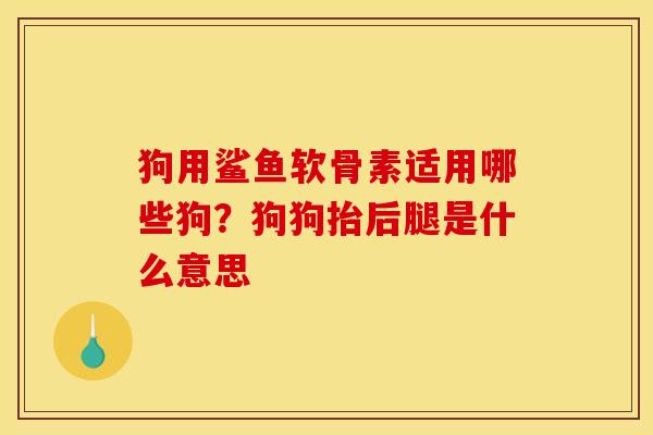 狗用鲨鱼软骨素适用哪些狗？狗狗抬后腿是什么意思