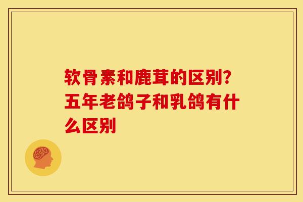 软骨素和鹿茸的区别？五年老鸽子和乳鸽有什么区别