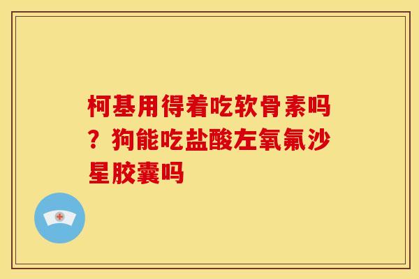 柯基用得着吃软骨素吗？狗能吃盐酸左氧氟沙星胶囊吗