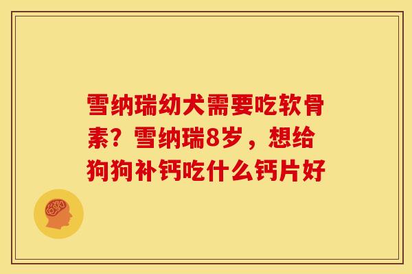 雪纳瑞幼犬需要吃软骨素？雪纳瑞8岁，想给狗狗补钙吃什么钙片好
