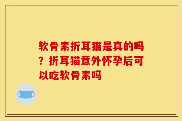 软骨素折耳猫是真的吗？折耳猫意外怀孕后可以吃软骨素吗