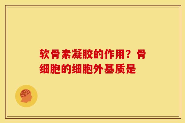 软骨素凝胶的作用？骨细胞的细胞外基质是