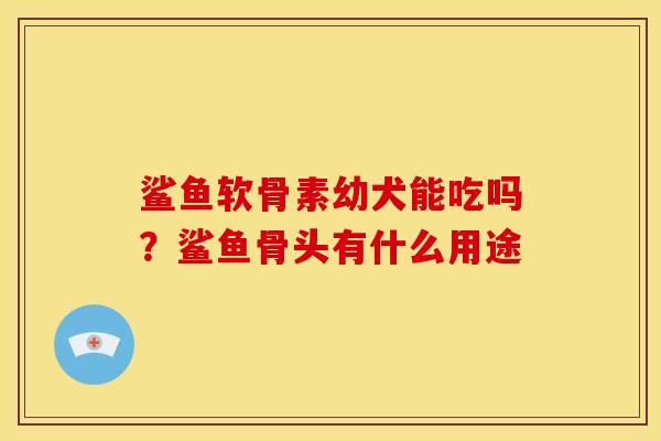 鲨鱼软骨素幼犬能吃吗？鲨鱼骨头有什么用途