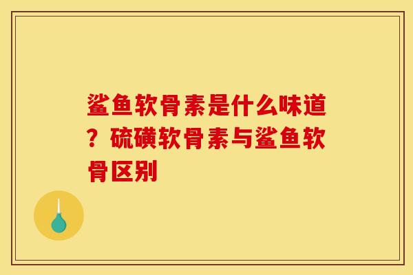 鲨鱼软骨素是什么味道？硫磺软骨素与鲨鱼软骨区别