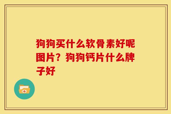 狗狗买什么软骨素好呢图片？狗狗钙片什么牌子好