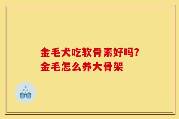 金毛犬吃软骨素好吗？金毛怎么养大骨架