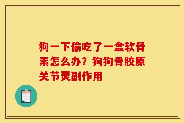 狗一下偷吃了一盒软骨素怎么办？狗狗骨胶原关节灵副作用