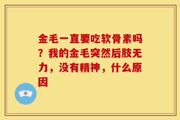 金毛一直要吃软骨素吗？我的金毛突然后肢无力，没有精神，什么原因