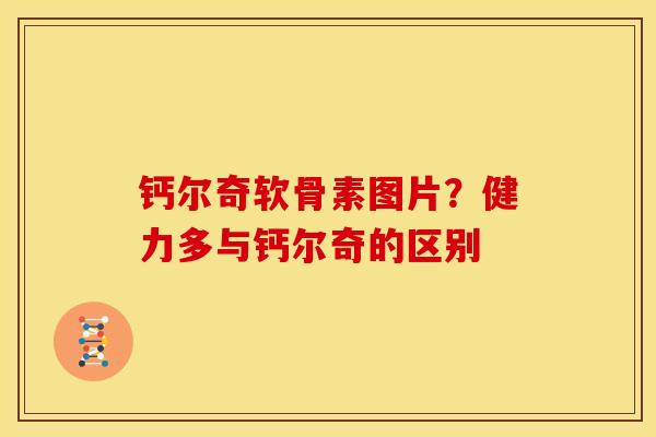 钙尔奇软骨素图片？健力多与钙尔奇的区别