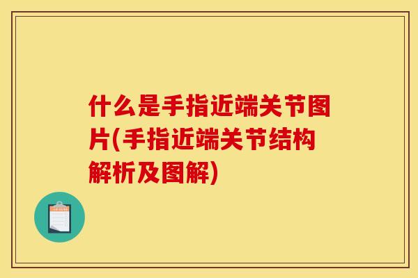 什么是手指近端关节图片(手指近端关节结构解析及图解)