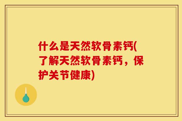 什么是天然软骨素钙(了解天然软骨素钙，保护关节健康)