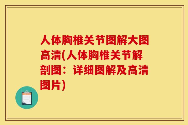 人体胸椎关节图解大图高清(人体胸椎关节解剖图：详细图解及高清图片)