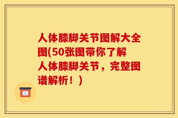 人体膝脚关节图解大全图(50张图带你了解人体膝脚关节，完整图谱解析！)