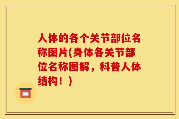 人体的各个关节部位名称图片(身体各关节部位名称图解，科普人体结构！)