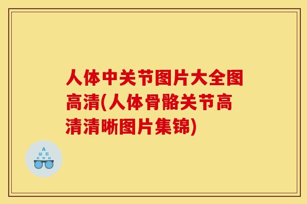 人体中关节图片大全图高清(人体骨骼关节高清清晰图片集锦)