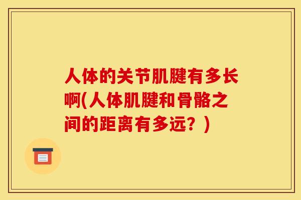 人体的关节肌腱有多长啊(人体肌腱和骨骼之间的距离有多远？)