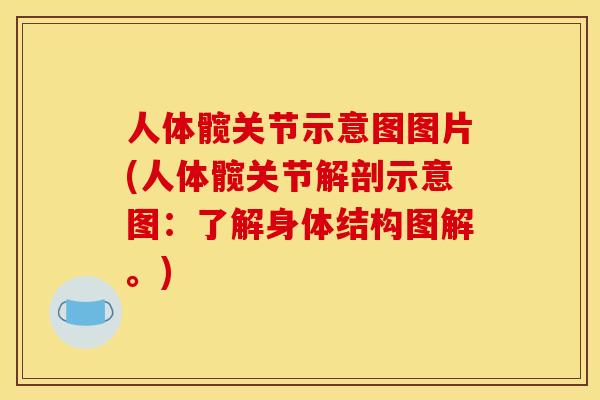 人体髋关节示意图图片(人体髋关节解剖示意图：了解身体结构图解。)
