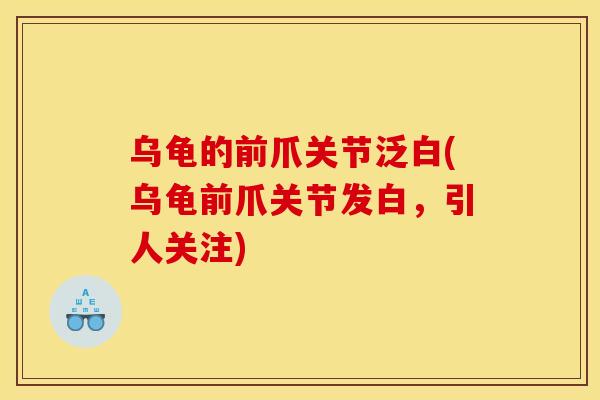 乌龟的前爪关节泛白(乌龟前爪关节发白，引人关注)