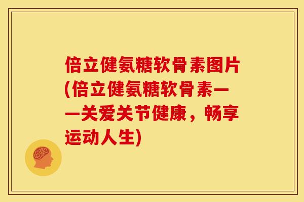 倍立健氨糖软骨素图片(倍立健氨糖软骨素——关爱关节健康，畅享运动人生)