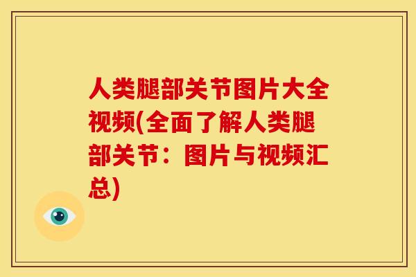 人类腿部关节图片大全视频(全面了解人类腿部关节：图片与视频汇总)