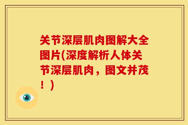 关节深层肌肉图解大全图片(深度解析人体关节深层肌肉，图文并茂！)