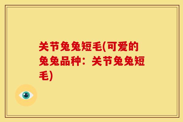 关节兔兔短毛(可爱的兔兔品种：关节兔兔短毛)