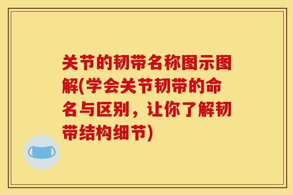 关节的韧带名称图示图解(学会关节韧带的命名与区别，让你了解韧带结构细节)