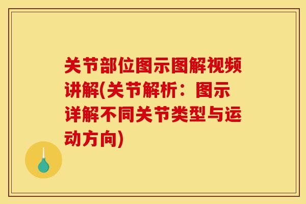 关节部位图示图解视频讲解(关节解析：图示详解不同关节类型与运动方向)
