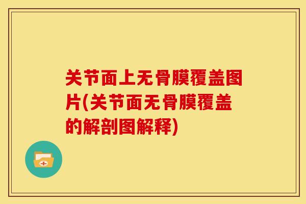 关节面上无骨膜覆盖图片(关节面无骨膜覆盖的解剖图解释)