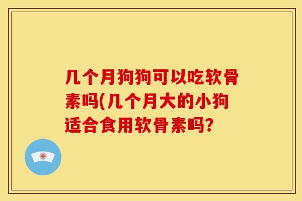 几个月狗狗可以吃软骨素吗(几个月大的小狗适合食用软骨素吗？