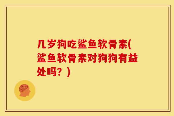 几岁狗吃鲨鱼软骨素(鲨鱼软骨素对狗狗有益处吗？)