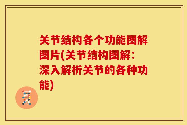 关节结构各个功能图解图片(关节结构图解：深入解析关节的各种功能)
