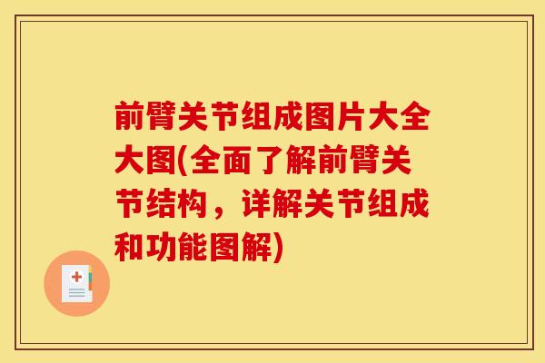 前臂关节组成图片大全大图(全面了解前臂关节结构，详解关节组成和功能图解)