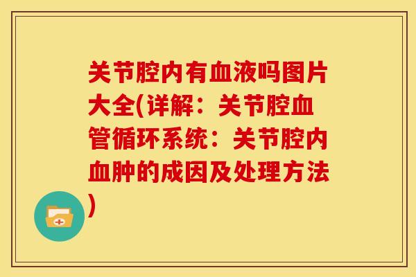 关节腔内有血液吗图片大全(详解：关节腔血管循环系统：关节腔内血肿的成因及处理方法)